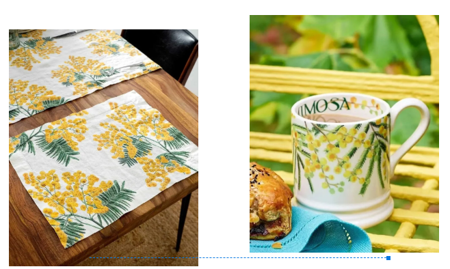 Mimosa.png